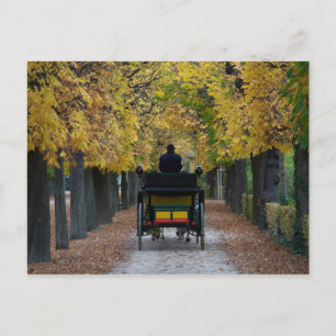 Cartão Postal Fiaker Em Schönbrunn, Wien Österreich