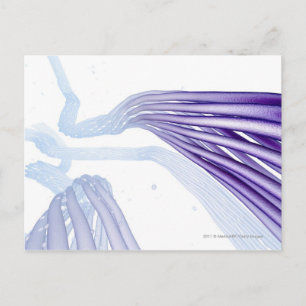 Cartão Postal Fibras nervosas estilizadas