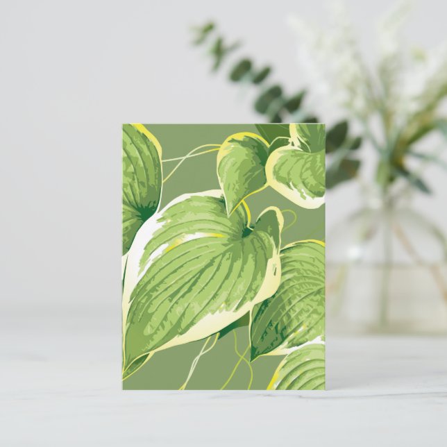 Cartão Postal Ficus Plant 5 (Em pé/Frente)