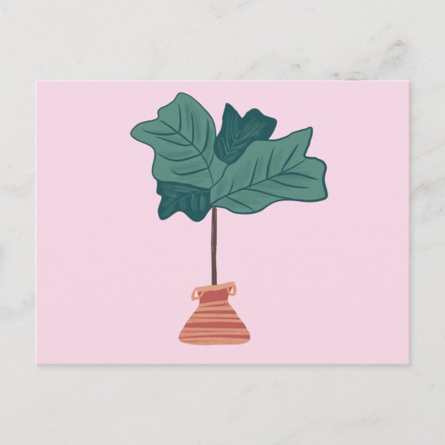 Cartão Postal Fiddle Fig Tree Planta Verde em Vaso Rosa (Frente)