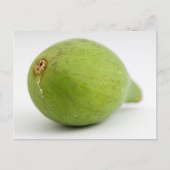 Cartão Postal Fig (Frente)