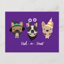 Figurinos de Halloween do Buldogue Francês