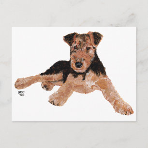 Cartão Postal Filhote de Airedale, Lakeland, Welsh Terrier