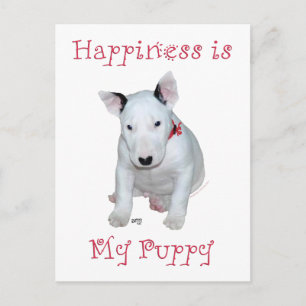 Cartão Postal Filhote de Bull Terrier