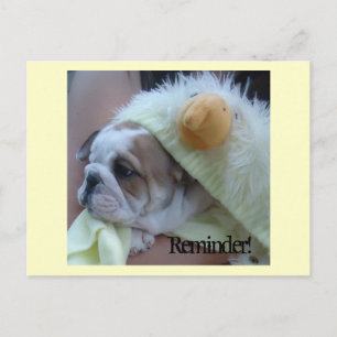 Cartão Postal Filhote de cachorro inglês do buldogue dos cartã