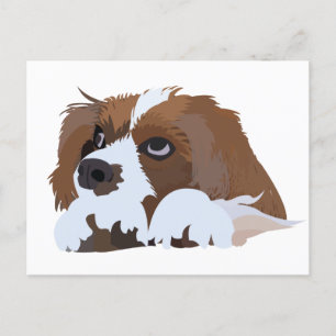 Cartão Postal Filhote de Cavalier King Charles Spaniel