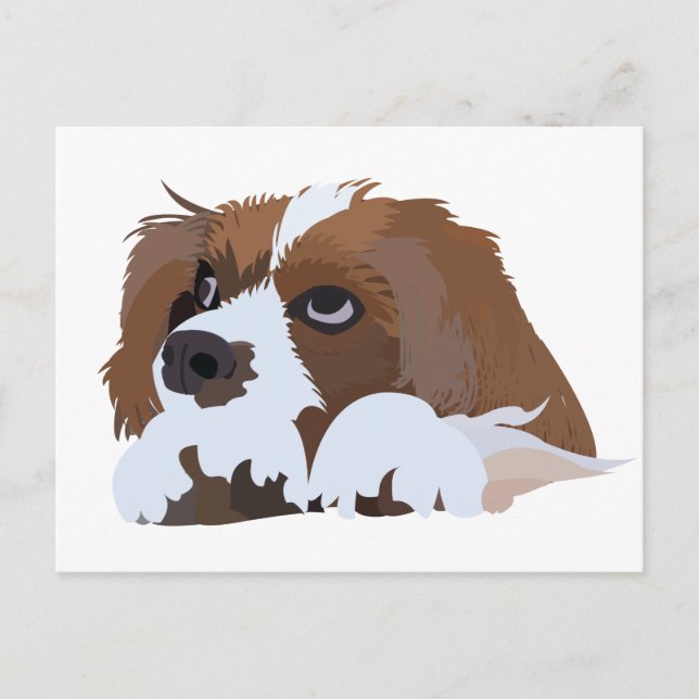 Cartão Postal Filhote de Cavalier King Charles Spaniel  (Frente)