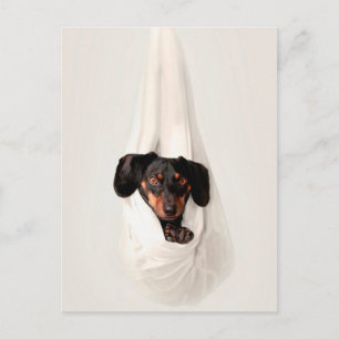 Cartão Postal Filhote de Dachshund na Rede de Baloiço Cachorro F