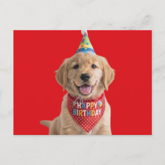 Cartão Postal Filhote de golden retriever desejando feliz aniver