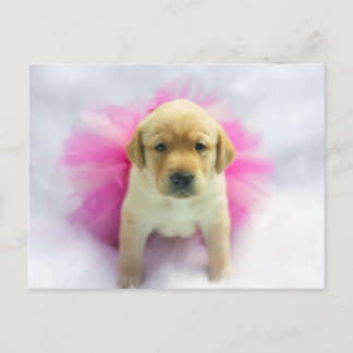 Cartão Postal Filhote de Labrador Amarelo