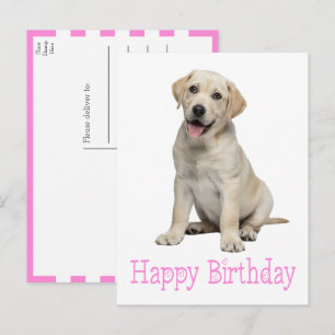Cartão Postal Filhote de Labrador Retriever Cachorro Lab Amarelo