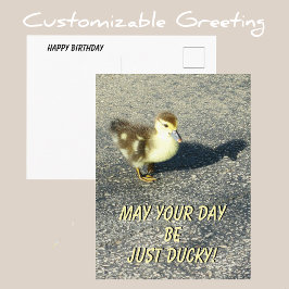 Cartão Postal Filhote de Pato Fofo Feliz Aniversário Fotografia