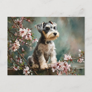 Cartão Postal Filhote de Schnauzer Entre Flores de Cerejeira da