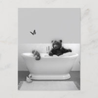 Filhote de Urso na Banheira Banho de espuma 