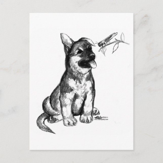 Cartão Postal Filhote e Gafanhoto (Frente)