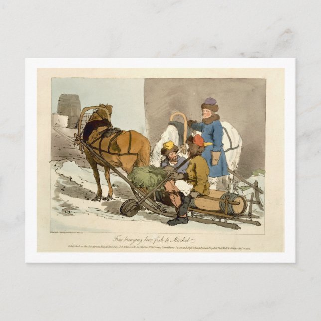 Cartão Postal Finas trazendo peixes vivos ao mercado, gravadas p (Frente)