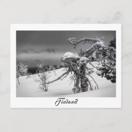 Cartão Postal Finland alien tree postcard