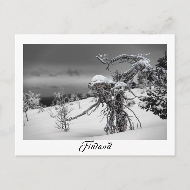 Cartão Postal Finland alien tree postcard (Frente)