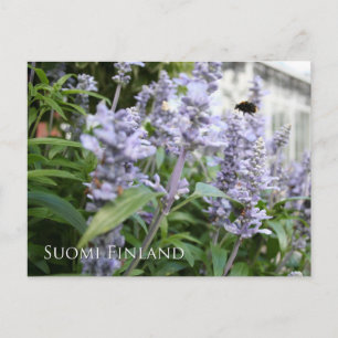 Cartão Postal Finlândia em Flores, 6 numa série
