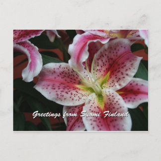 Cartão Postal Finlândia em Flores, 7 numa série