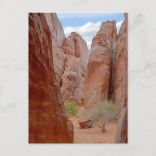 Cartão Postal Fins, Arches National Park, Utah, Cartão-postal