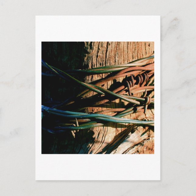 Cartão Postal Fio em ferrugem e jato azul (Frente)