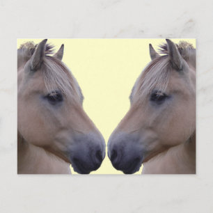 Cartão Postal Fiorde norueguês