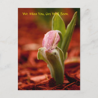 Cartão Postal Fique Bem Em Breve
