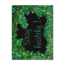 Fique saudável com a Ivy verde