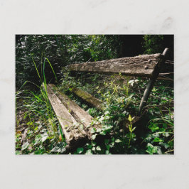 Cartão Postal Fique um pouco