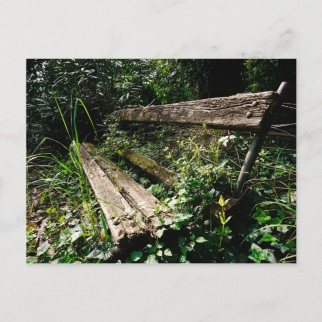 Cartão Postal Fique um pouco (Frente)