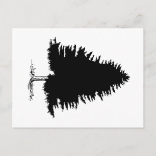 Cartão Postal Fir Tree