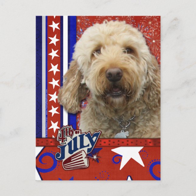 Cartão Postal Firecracker de 4 de julho - GoldenDoodle (Frente)