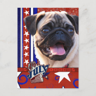 Cartão Postal Firecracker de 4 de julho - Pug