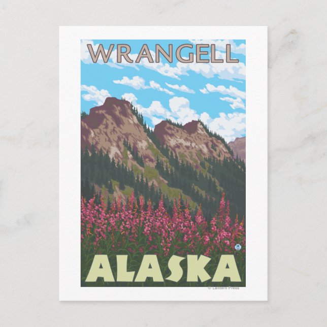 Cartão Postal Fireweed & Mountain - Wrangell, Alaska (Frente)