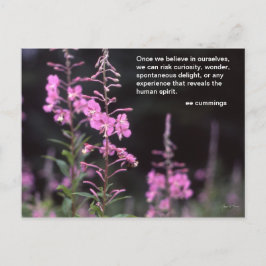 Cartão Postal Fireweed Plants - ee cummings quote