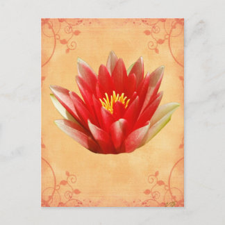 Cartão Postal First Chakra Gift