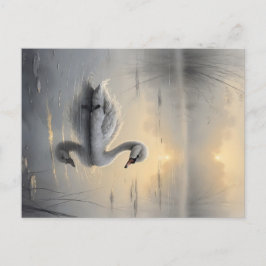 Cartão Postal First Light Kin Swan Postcard
