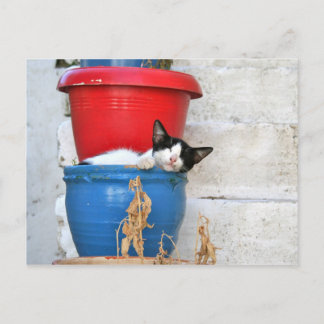 Cartão Postal Fiscardo, Kefalonia