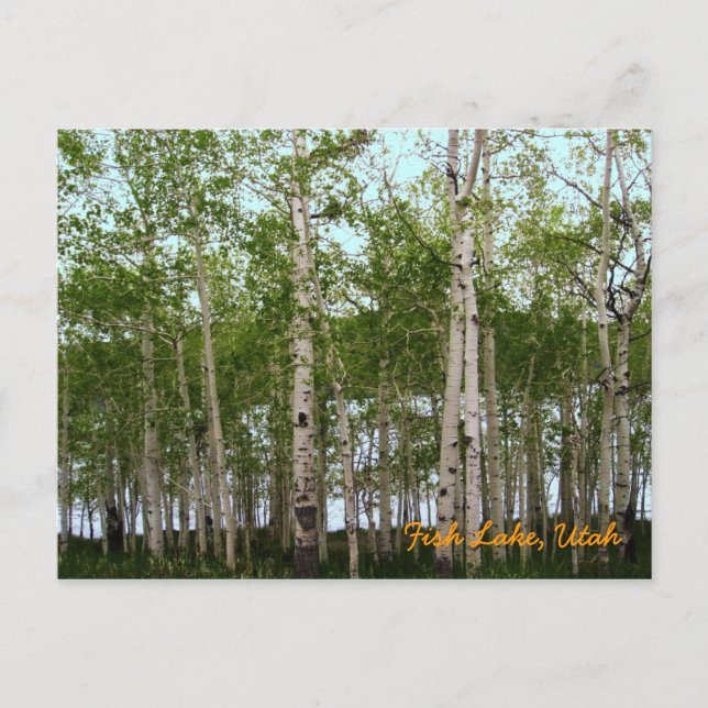 Cartão Postal Fish Lake, Utah (Frente)