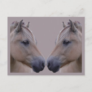 Cartão Postal Fjord Norueguês