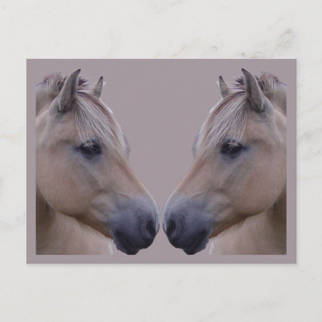 Cartão Postal Fjord Norueguês (Frente)