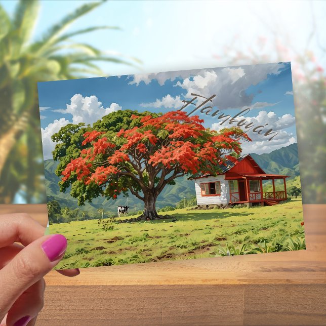 Cartão Postal Flamboyán de Porto Rico (Criador carregado)
