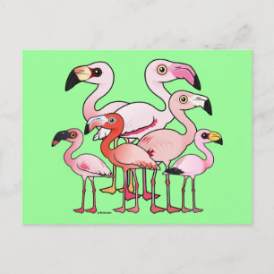 Cartão Postal Flamboyance