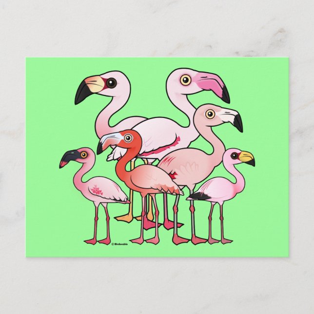 Cartão Postal Flamboyance (Frente)