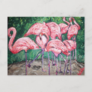 Cartão Postal Flamboyant Flamingos