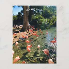 CARTÃO POSTAL FLAMINGO
