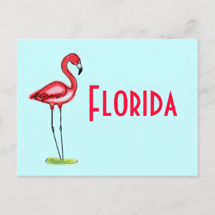 Cartão postal Flamingo