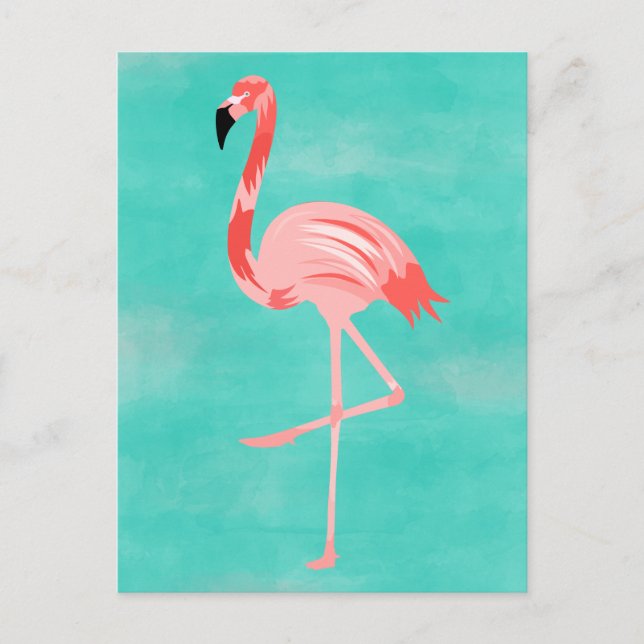 Cartão Postal Flamingo (Frente)