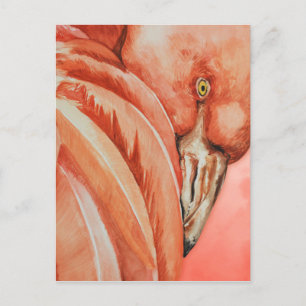 Cartão Postal Flamingo